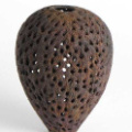 Ornamental  Rust                      <BR> Merit: Terry Scott