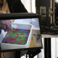 IMG 9172