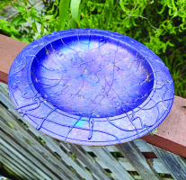 Indigo Delight : Mike Peckham